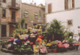 /album/galleria-fotografica/san-pellegrino-i-i00002c-gif/