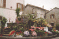/album/galleria-fotografica/san-pellegrino-i-i00002d-gif/