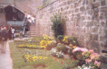 /album/galleria-fotografica/san-pellegrino-i-i000023-gif/