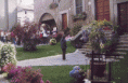 /album/galleria-fotografica/san-pellegrino-i-i000025-gif/